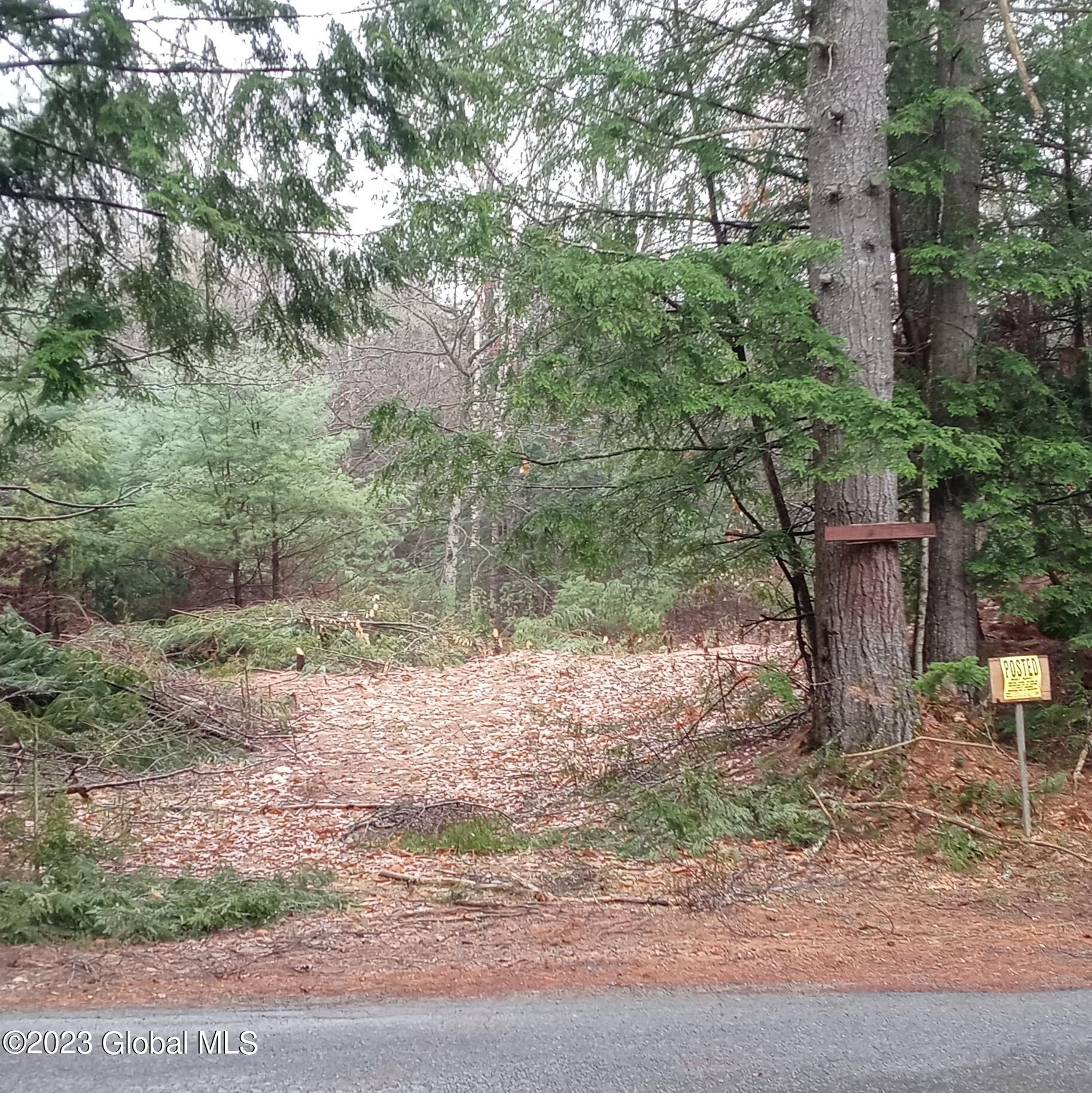 116 Forest Lake Road Warrensburg, NY 12817 - Photo 5 of 10 0417231112c_6