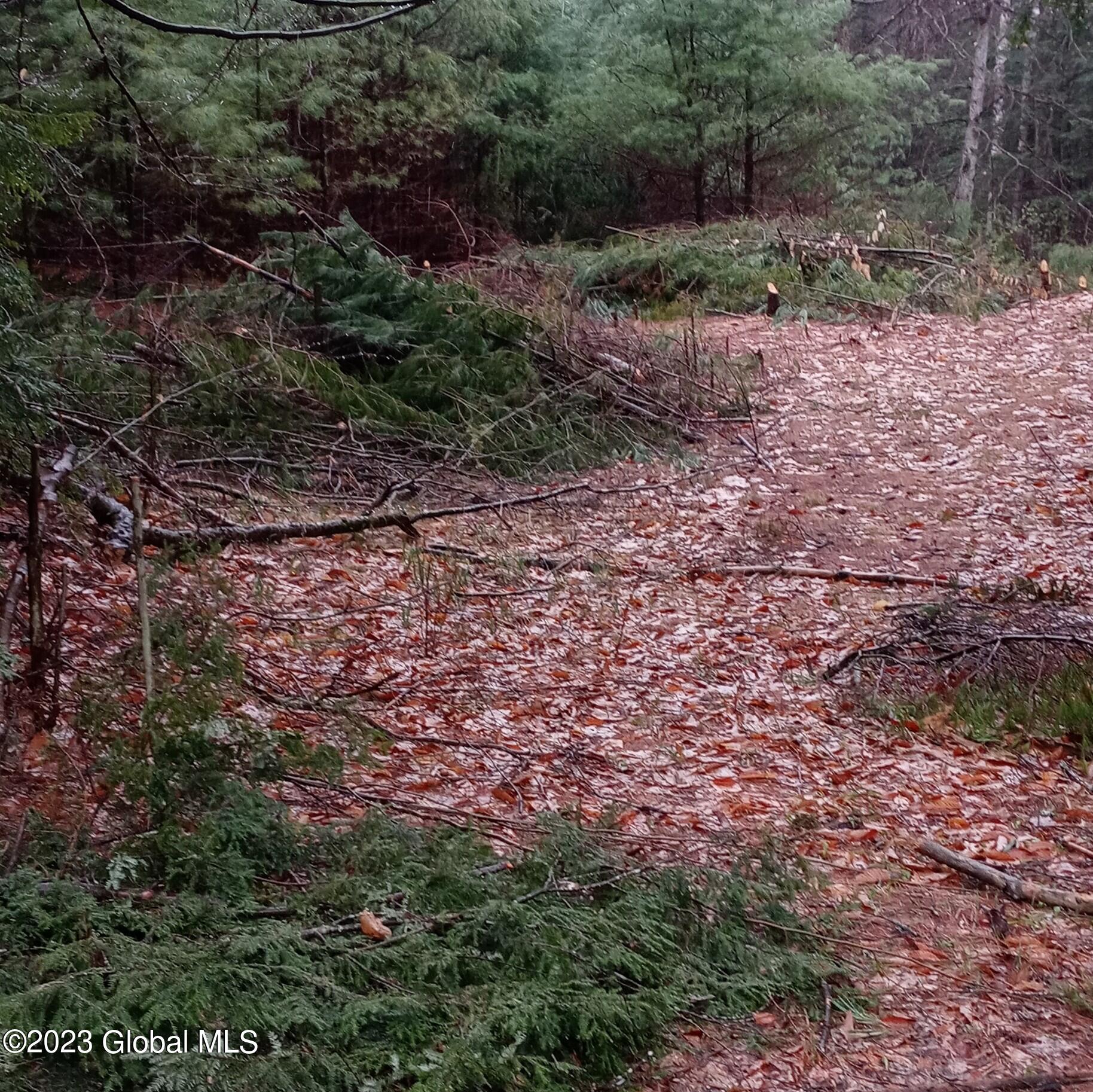 116 Forest Lake Road Warrensburg, NY 12817 - Photo 6 of 10 0417231112b_2