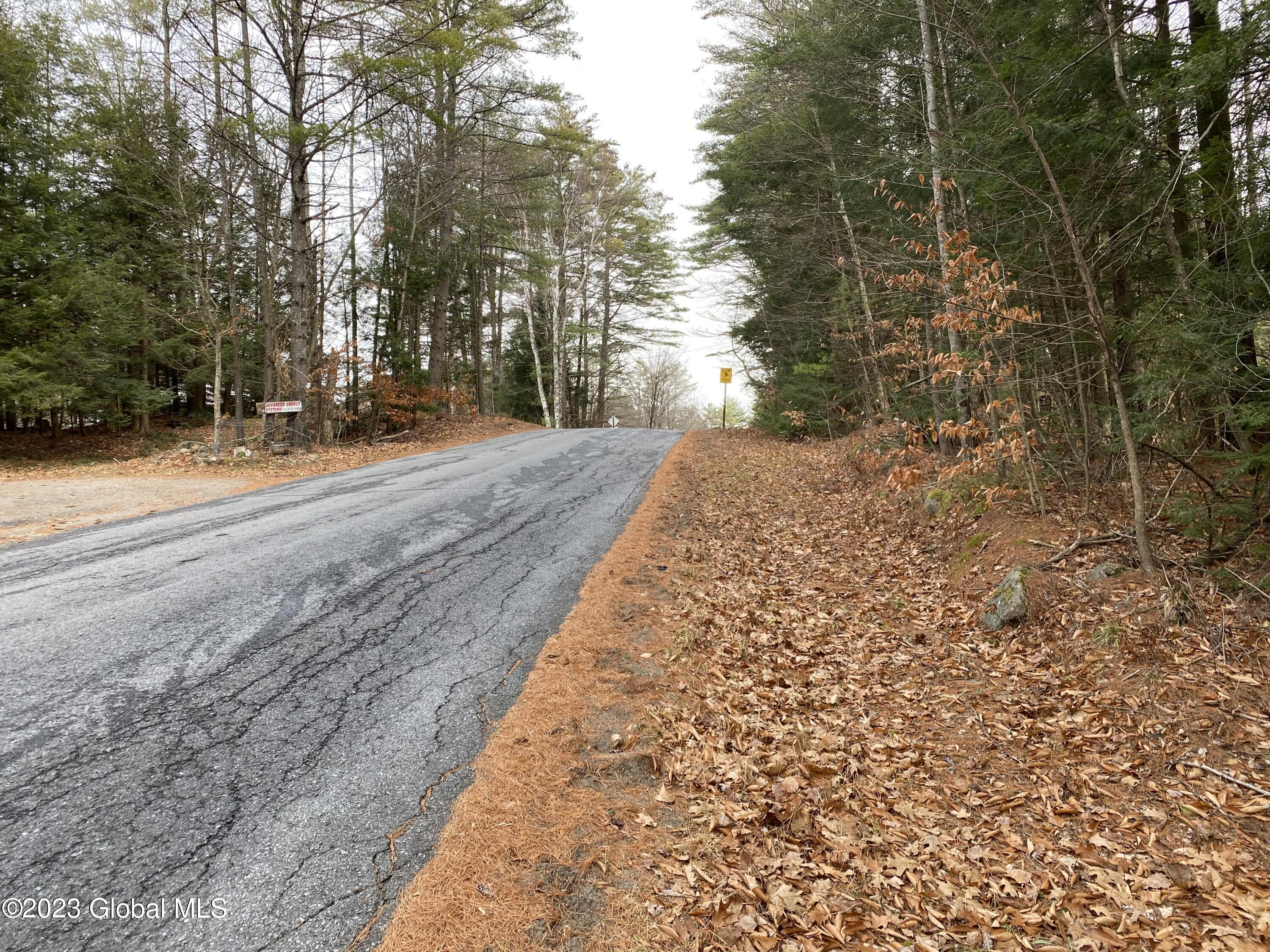 116 Forest Lake Road Warrensburg, NY 12817 - Photo 8 of 10 Street view East