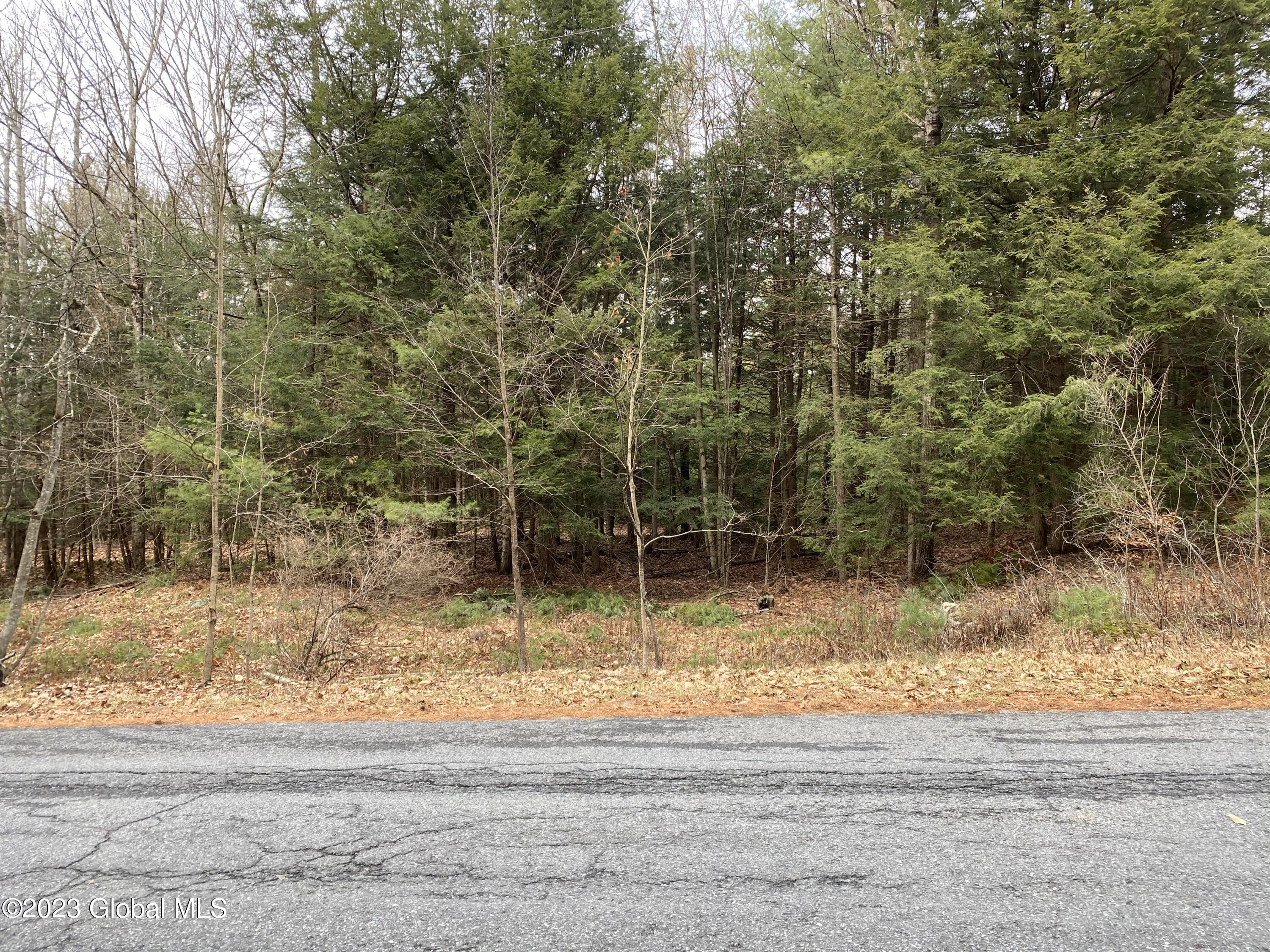 116 Forest Lake Road Warrensburg, NY 12817 - Photo 9 of 10 Lot front