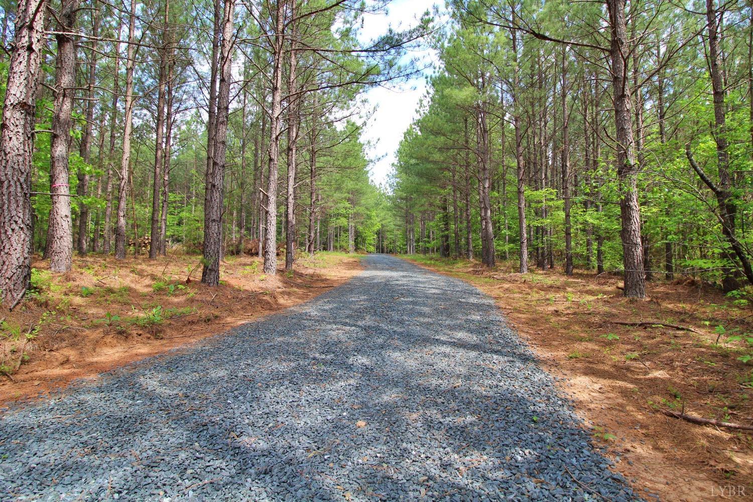 0 Paradise Hill Road Spout Spring, VA 24538 - Photo 3 of 7 a view of outdoor space with trees