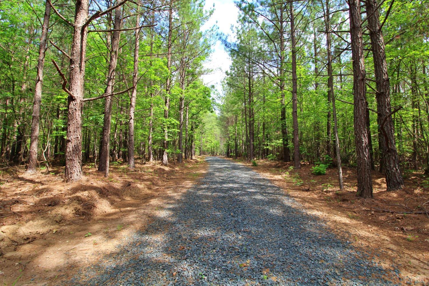 0 Paradise Hill Road Spout Spring, VA 24538 - Photo 4 of 7 a view of outdoor space and yard