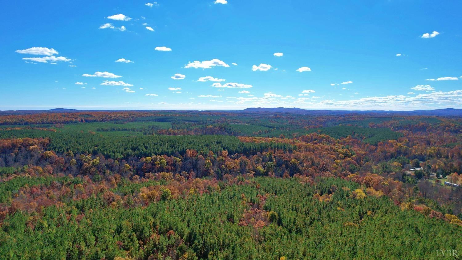 0 Paradise Hill Road Spout Spring, VA 24538 - Photo 5 of 7 a view of a city