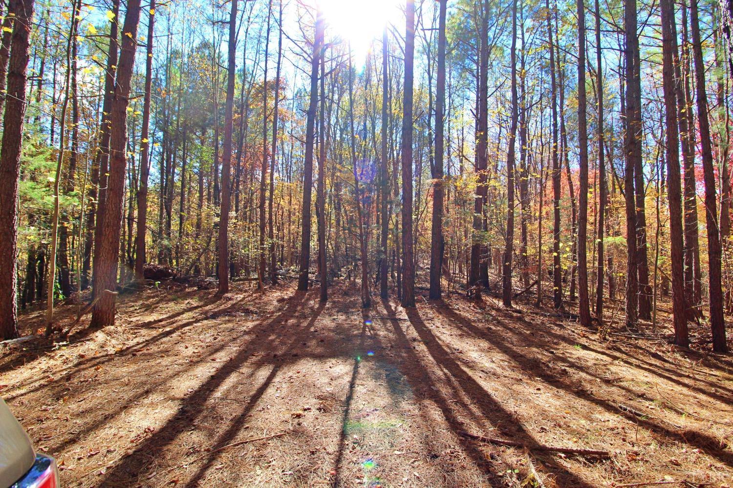 0 Paradise Hill Road Spout Spring, VA 24538 - Photo 6 of 7 a view of mountain with trees in front of it