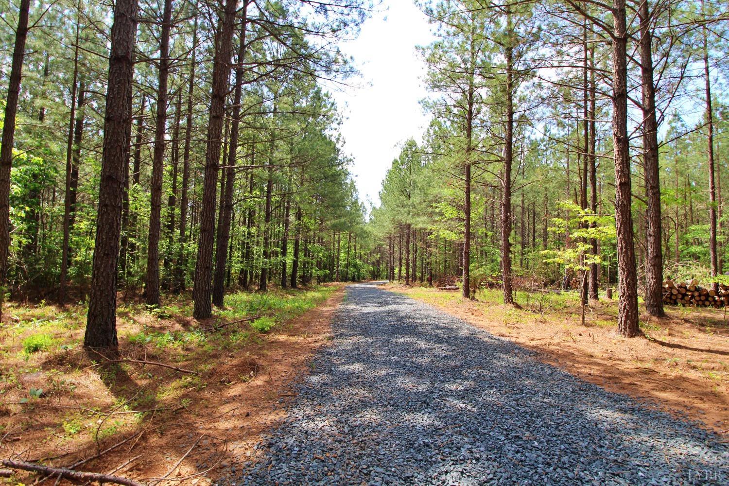 0 Paradise Hill Road Spout Spring, VA 24538 - Photo 7 of 7 a view of outdoor space with trees