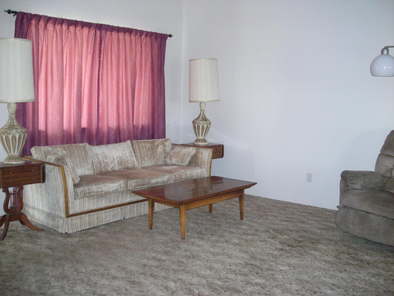 699 North Arroya Road Apache Junction, AZ 85119 - Photo 4 of 6 LIVING ROOM