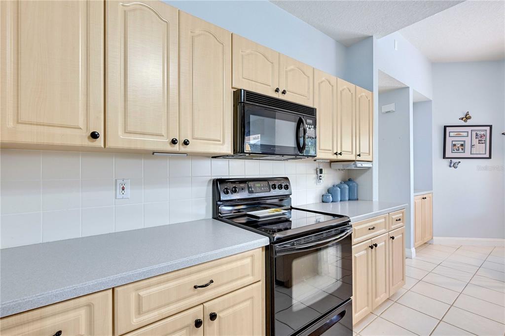 13855 Rudi Loop Spring Hill, FL 34609 - Photo 13 of 70