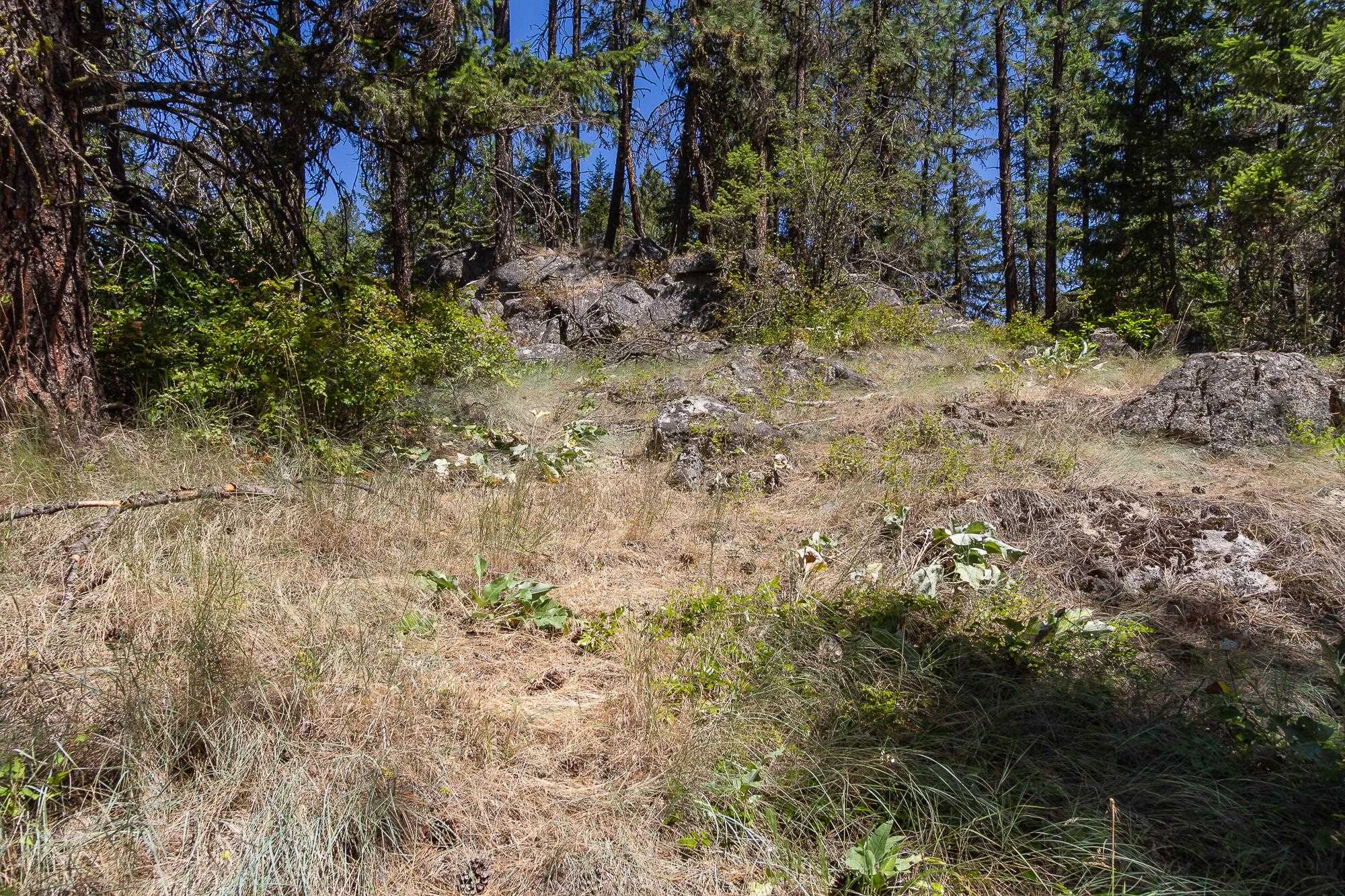 564 C Crown Ridge Way Colville, WA 99114 - Photo 11 of 22 Gallery Image 11