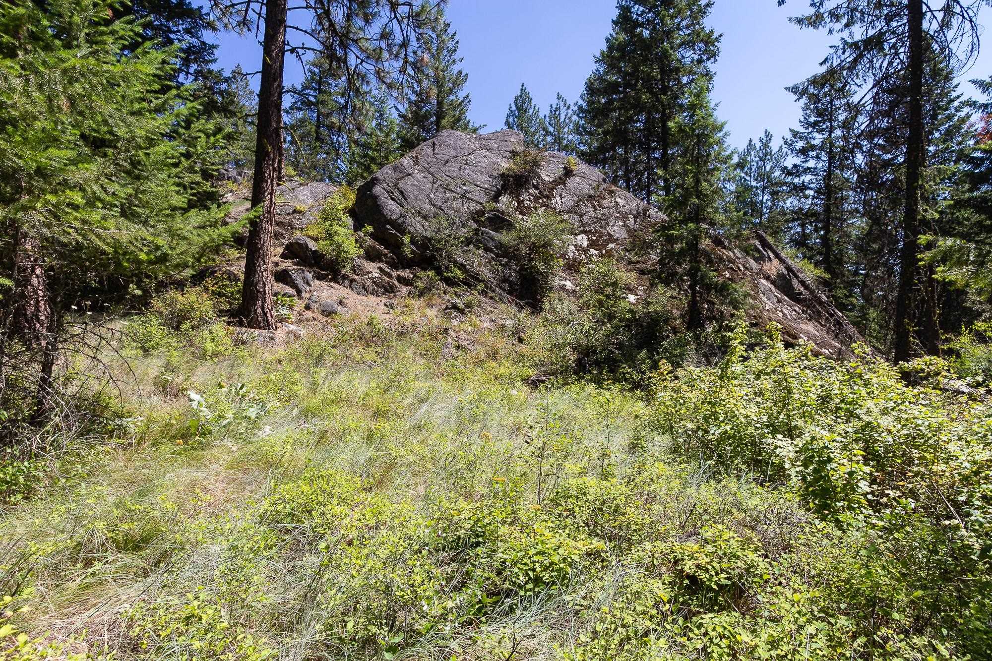 564 C Crown Ridge Way Colville, WA 99114 - Photo 12 of 22 Gallery Image 12