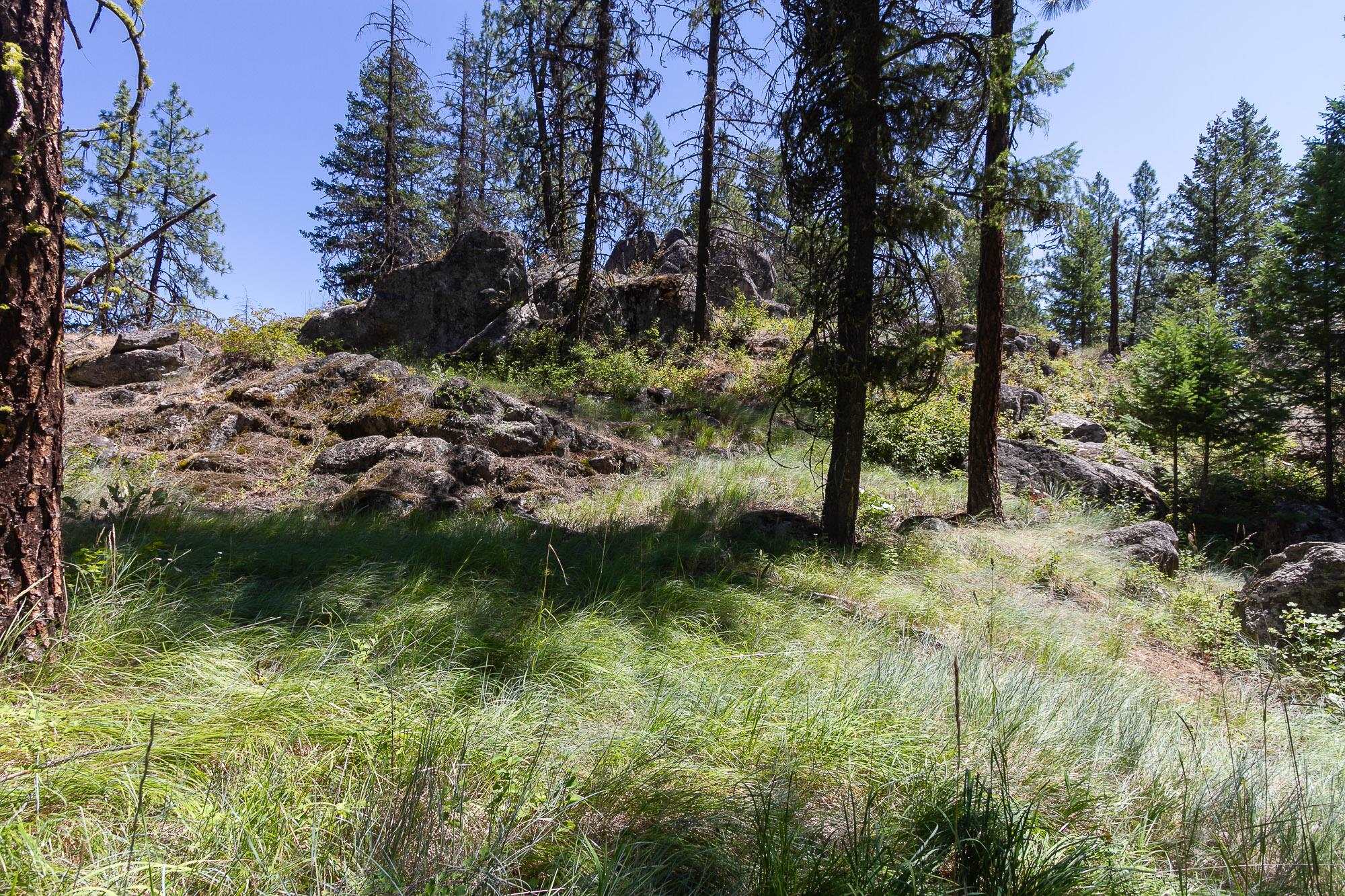564 C Crown Ridge Way Colville, WA 99114 - Photo 13 of 22 Gallery Image 13