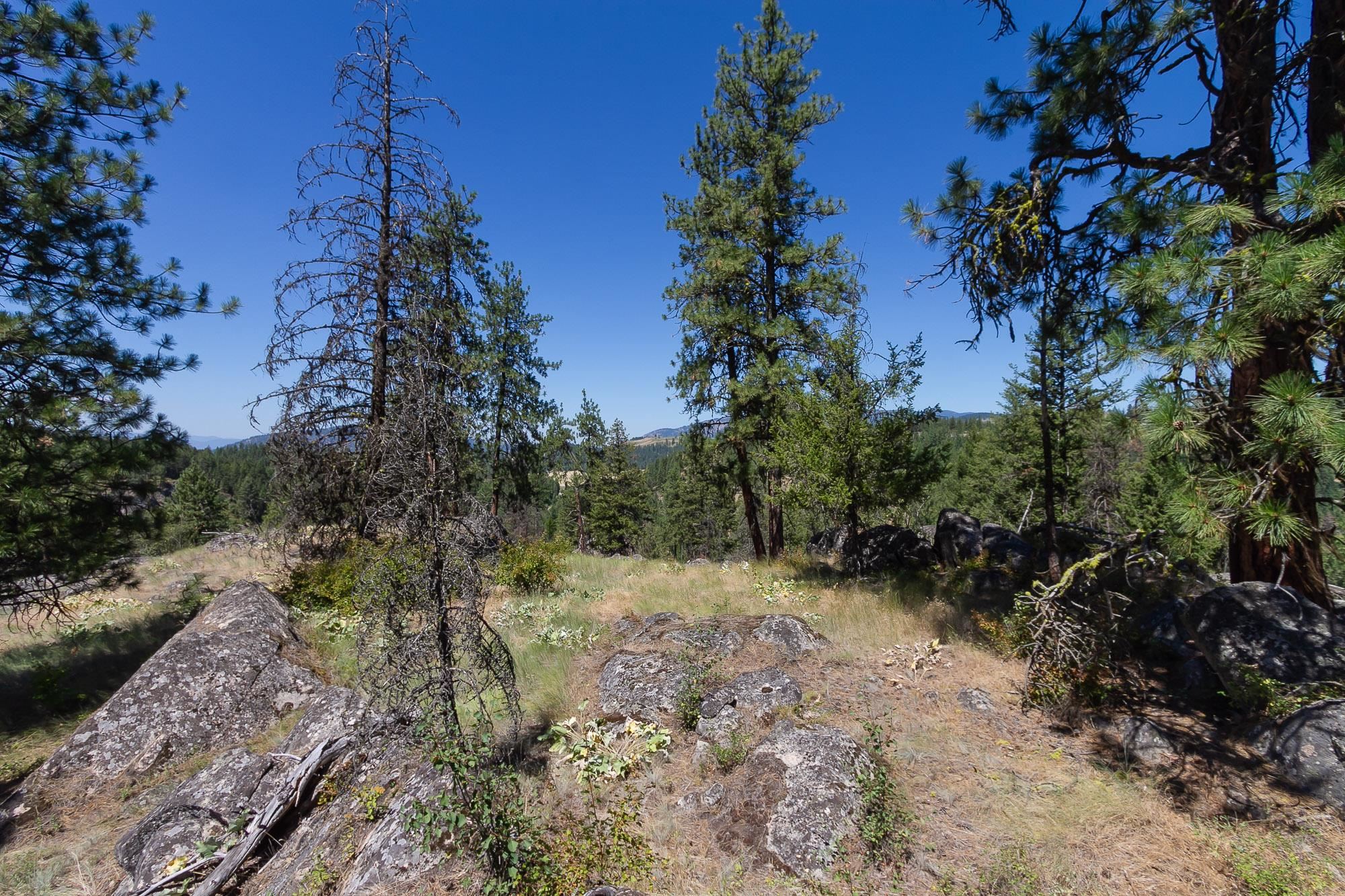 564 C Crown Ridge Way Colville, WA 99114 - Photo 15 of 22 Gallery Image 15