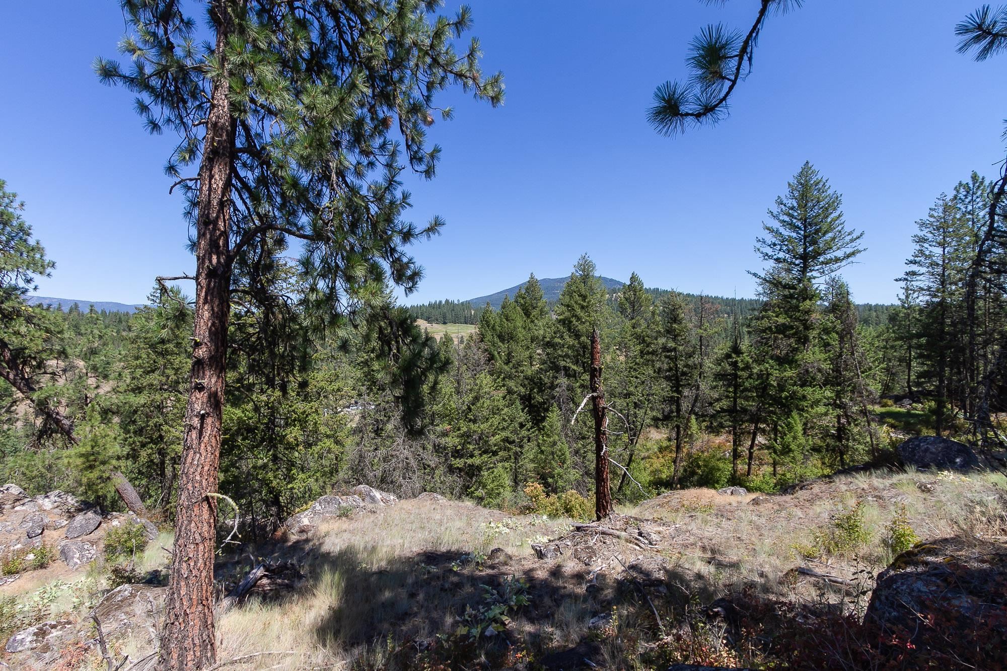 564 C Crown Ridge Way Colville, WA 99114 - Photo 19 of 22 Gallery Image 19