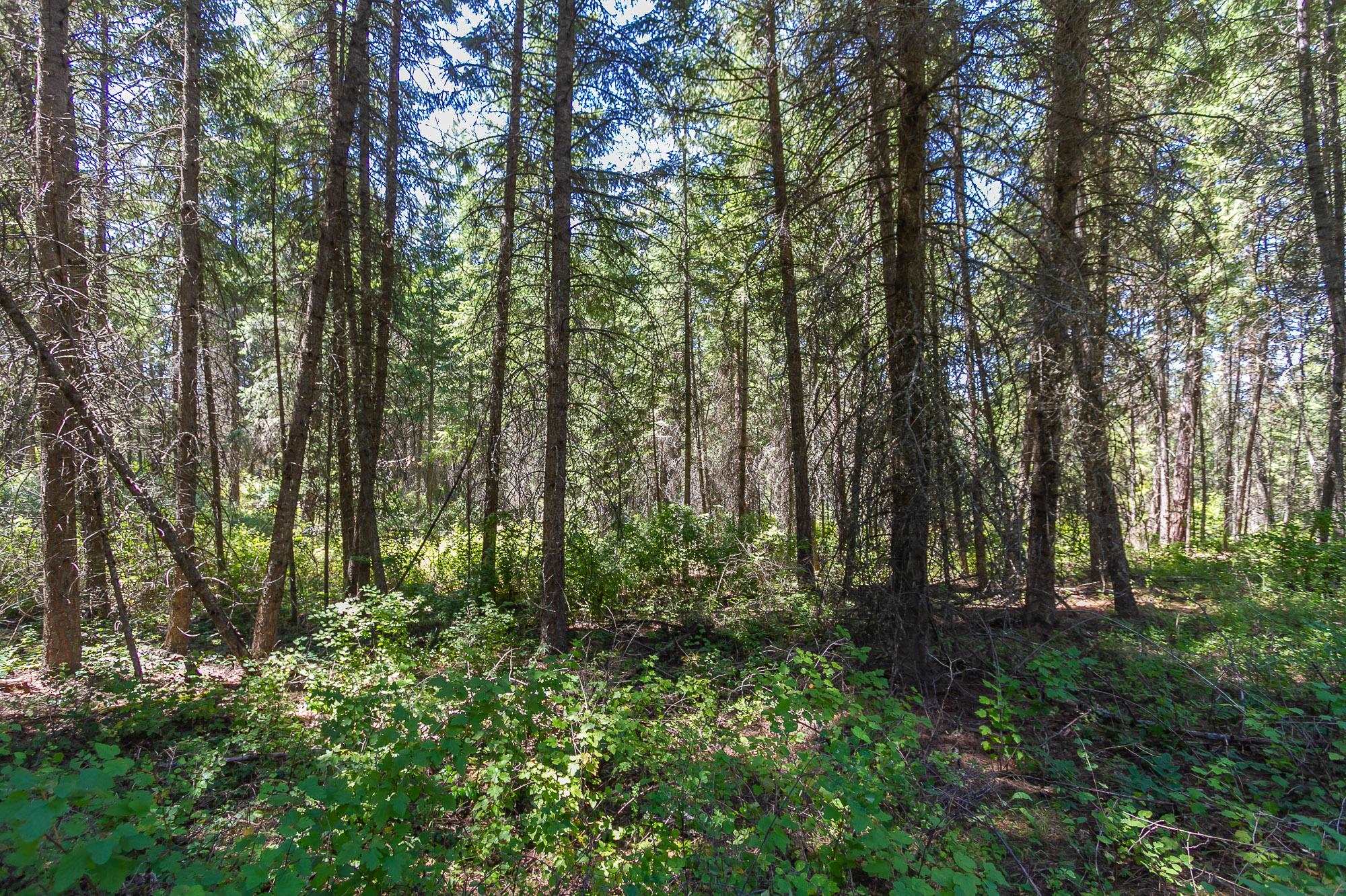 564 C Crown Ridge Way Colville, WA 99114 - Photo 22 of 22 Gallery Image 22