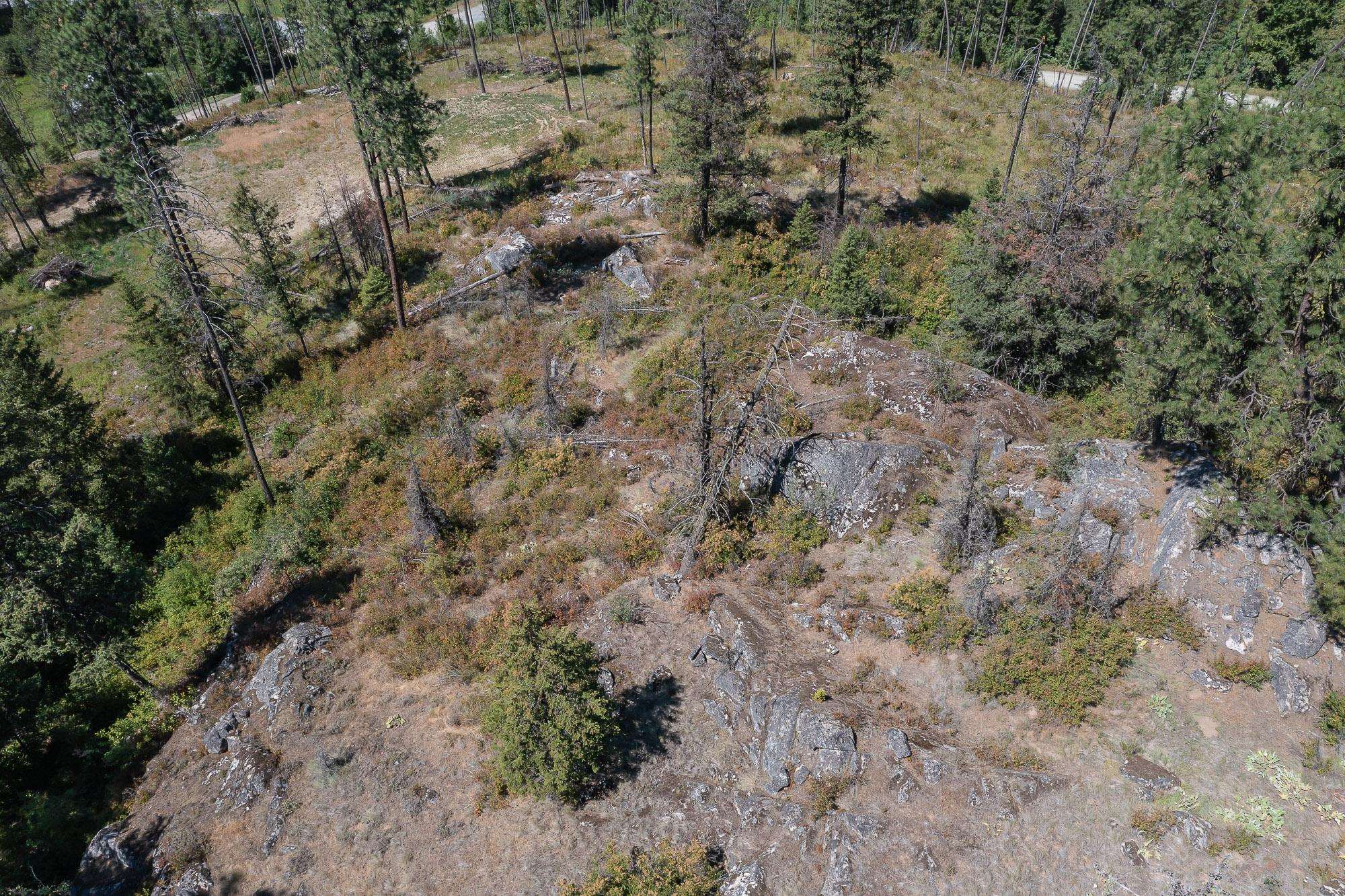 564 C Crown Ridge Way Colville, WA 99114 - Photo 3 of 22 Gallery Image 3