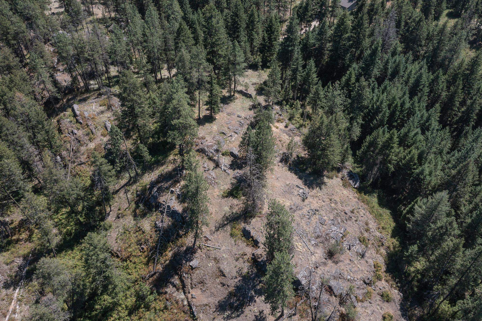 564 C Crown Ridge Way Colville, WA 99114 - Photo 4 of 22 Gallery Image 4