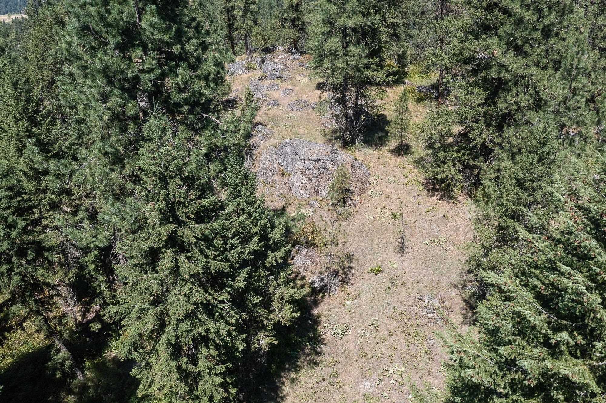 564 C Crown Ridge Way Colville, WA 99114 - Photo 5 of 22 Gallery Image 5