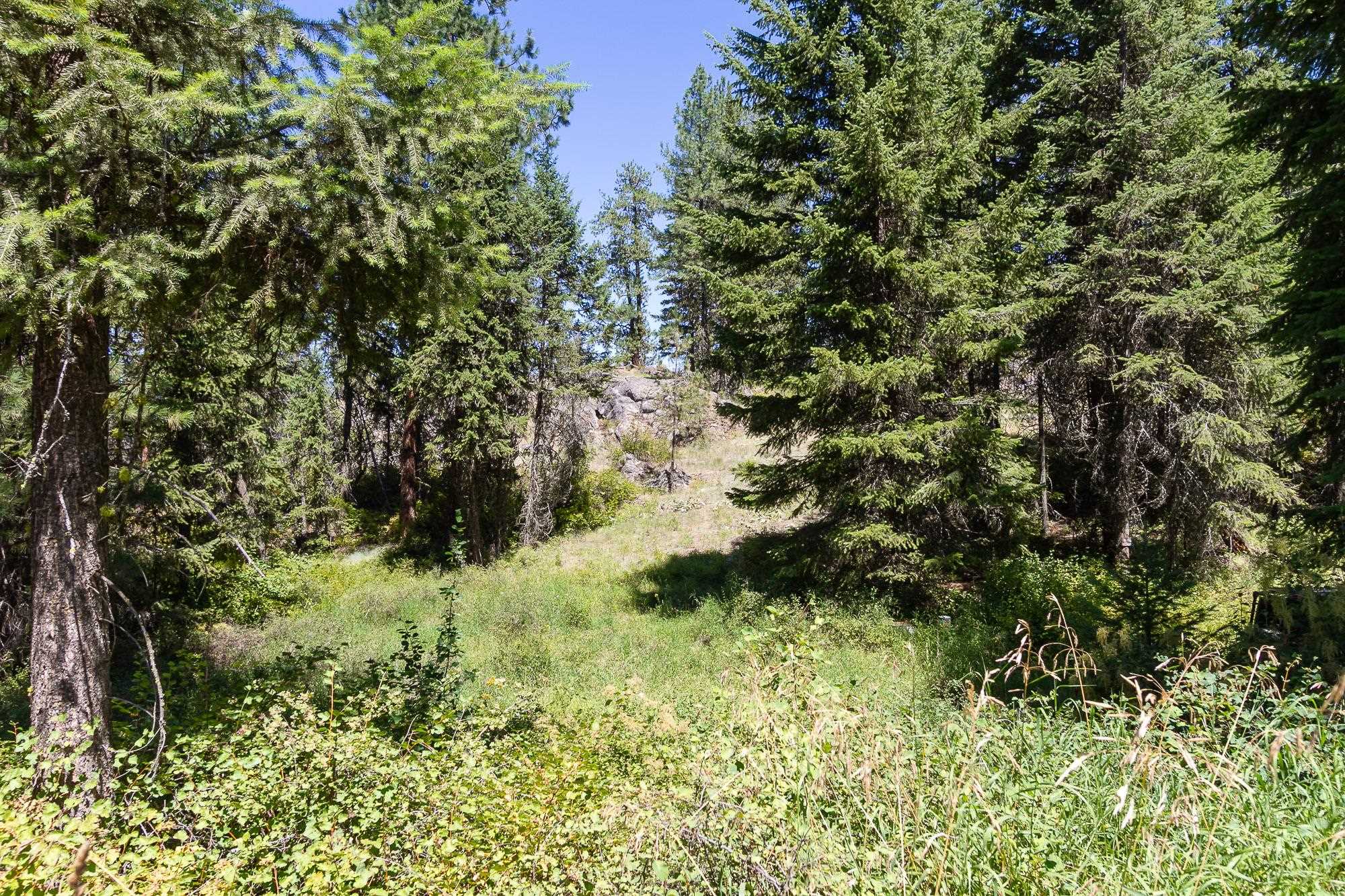 564 C Crown Ridge Way Colville, WA 99114 - Photo 9 of 22 Gallery Image 9