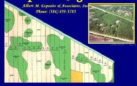 4113 State Rte 100 Bunnell, FL 32110 - Photo 1 of 1 Gallery Image 1