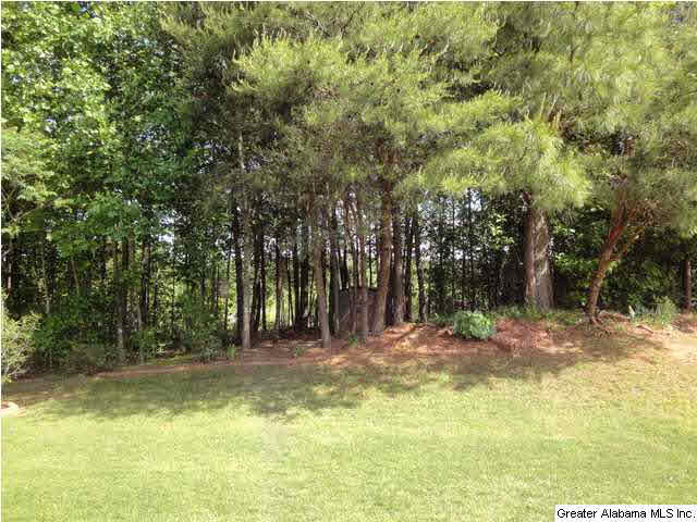 508 Summit Circle Fultondale, AL 35068 - Photo 23 of 26