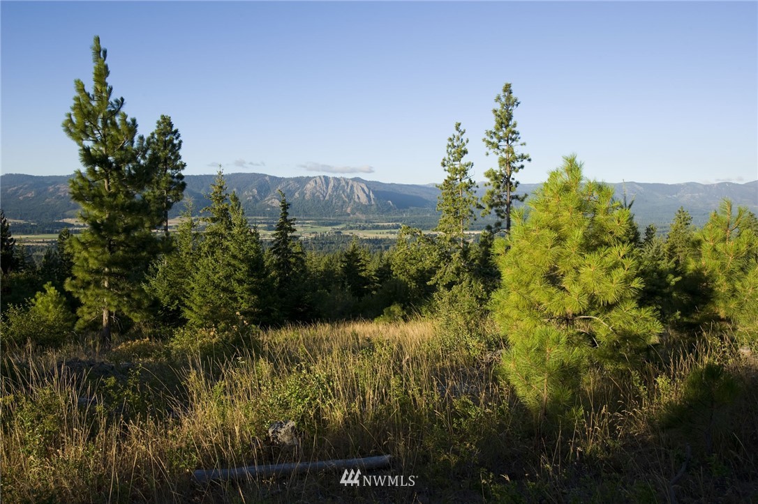 47 Forest Ridge Cle Elum, WA 98922 - Photo 2 of 17 Gallery Image 2
