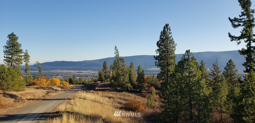47 Forest Ridge Cle Elum, WA 98922 - Photo 14 of 17 Gallery Image 14