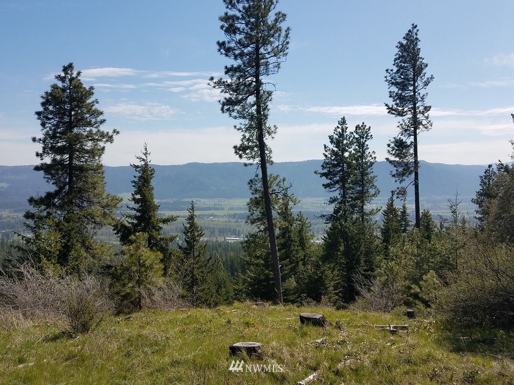 47 Forest Ridge Cle Elum, WA 98922 - Photo 16 of 17 Gallery Image 16