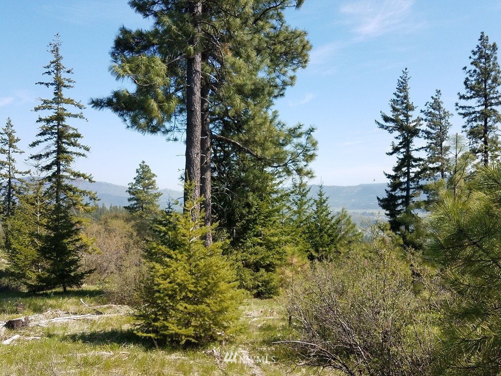 47 Forest Ridge Cle Elum, WA 98922 - Photo 17 of 17 Gallery Image 17