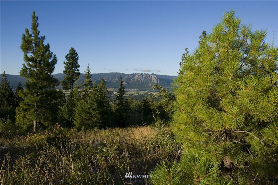 47 Forest Ridge Cle Elum, WA 98922 - Photo 9 of 17 Gallery Image 9