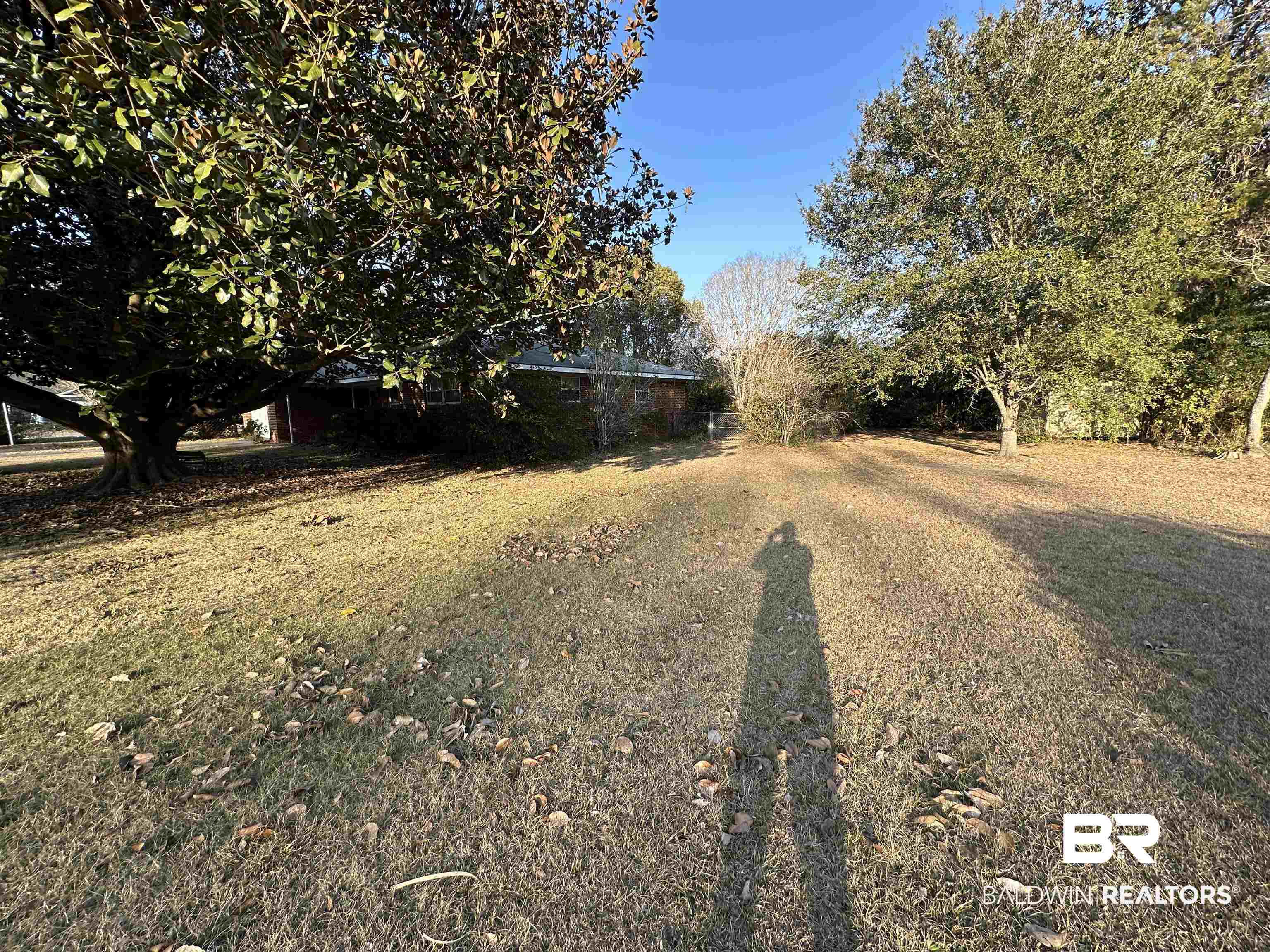 1 Yupon Circle Foley, AL 36535 - Photo 4 of 30 View of grassy yard