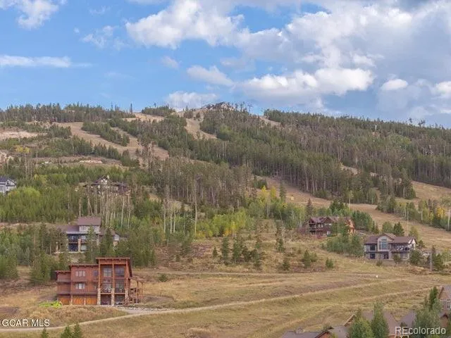 a view of a dry yard