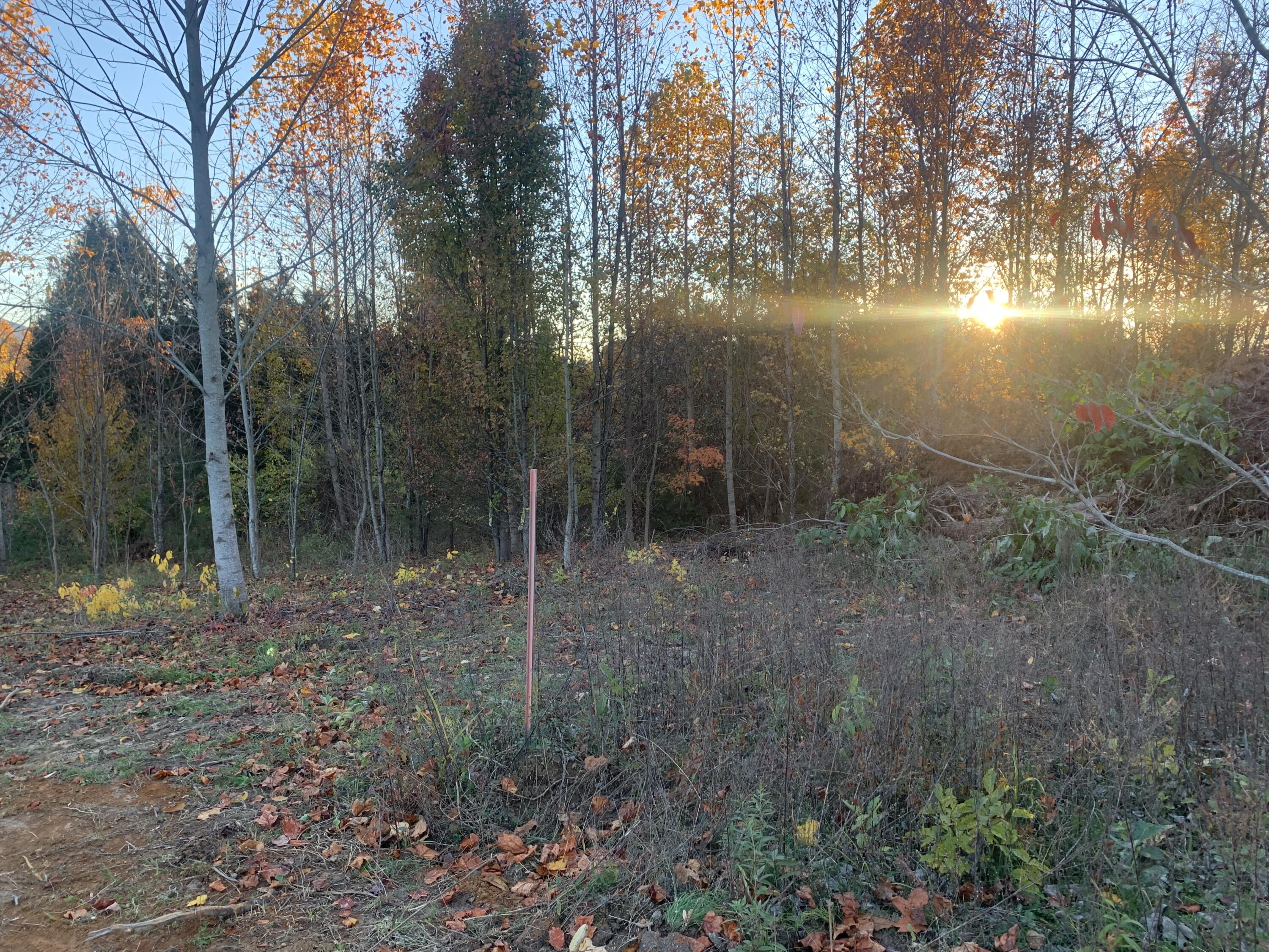 890 Keller Road Afton, TN 37616 - Photo 31 of 33 IMG_6215