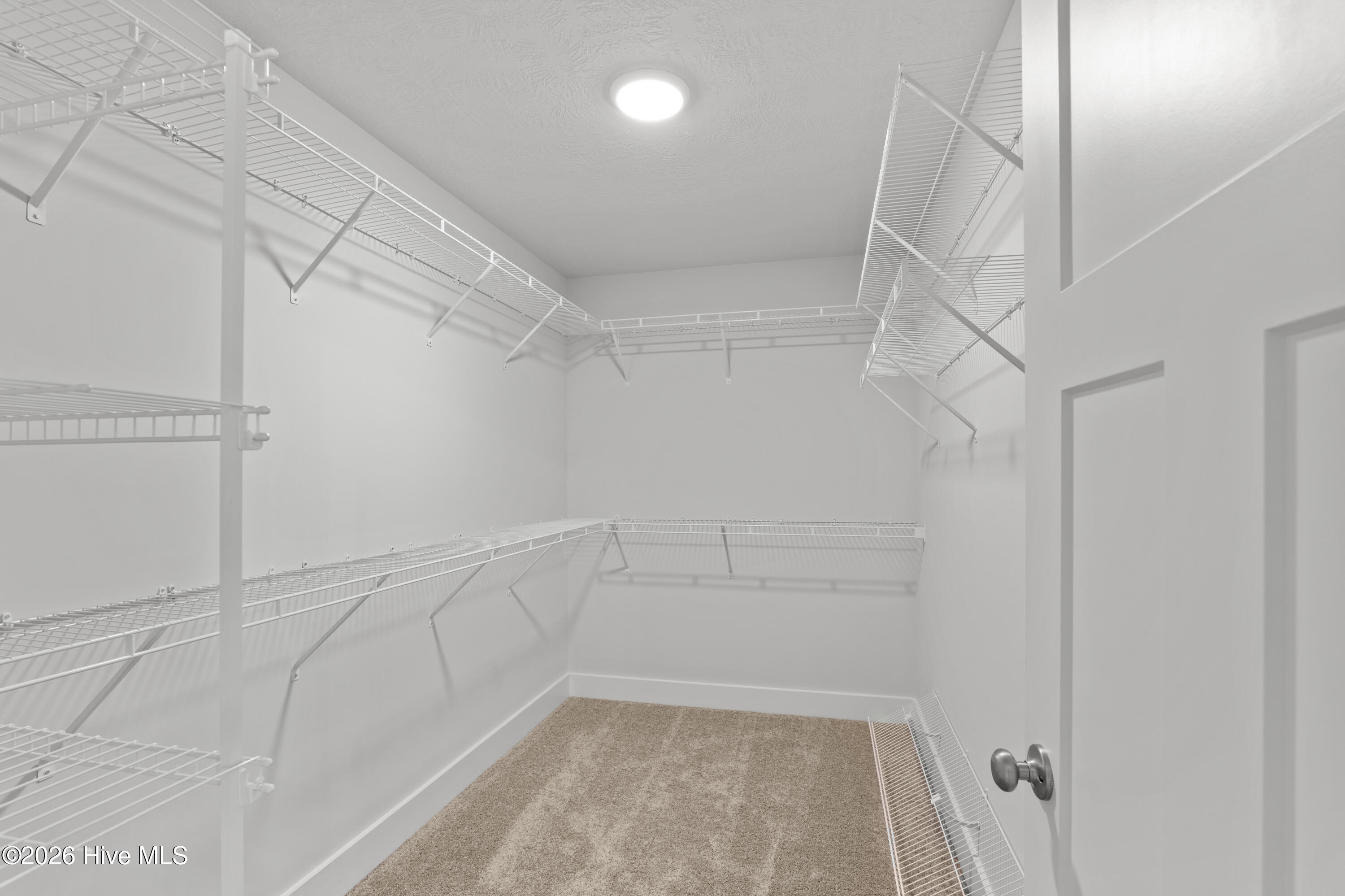 687 Ronaldsay Road Grovetown, GA 30813 - Photo 35 of 55 Large Walk-In Closet