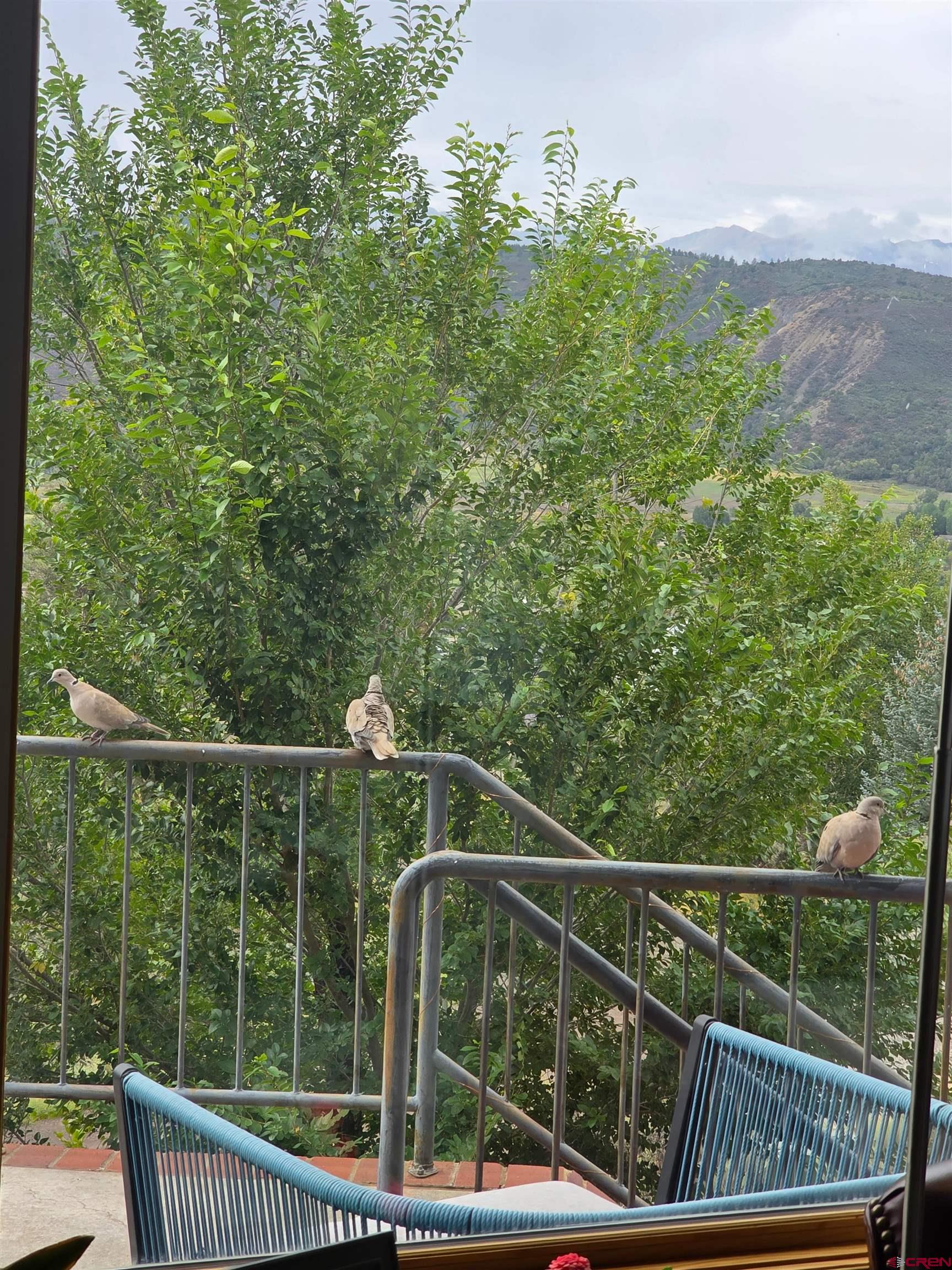 525 Park Lane Ridgway, CO 81432 - Photo 37 of 43