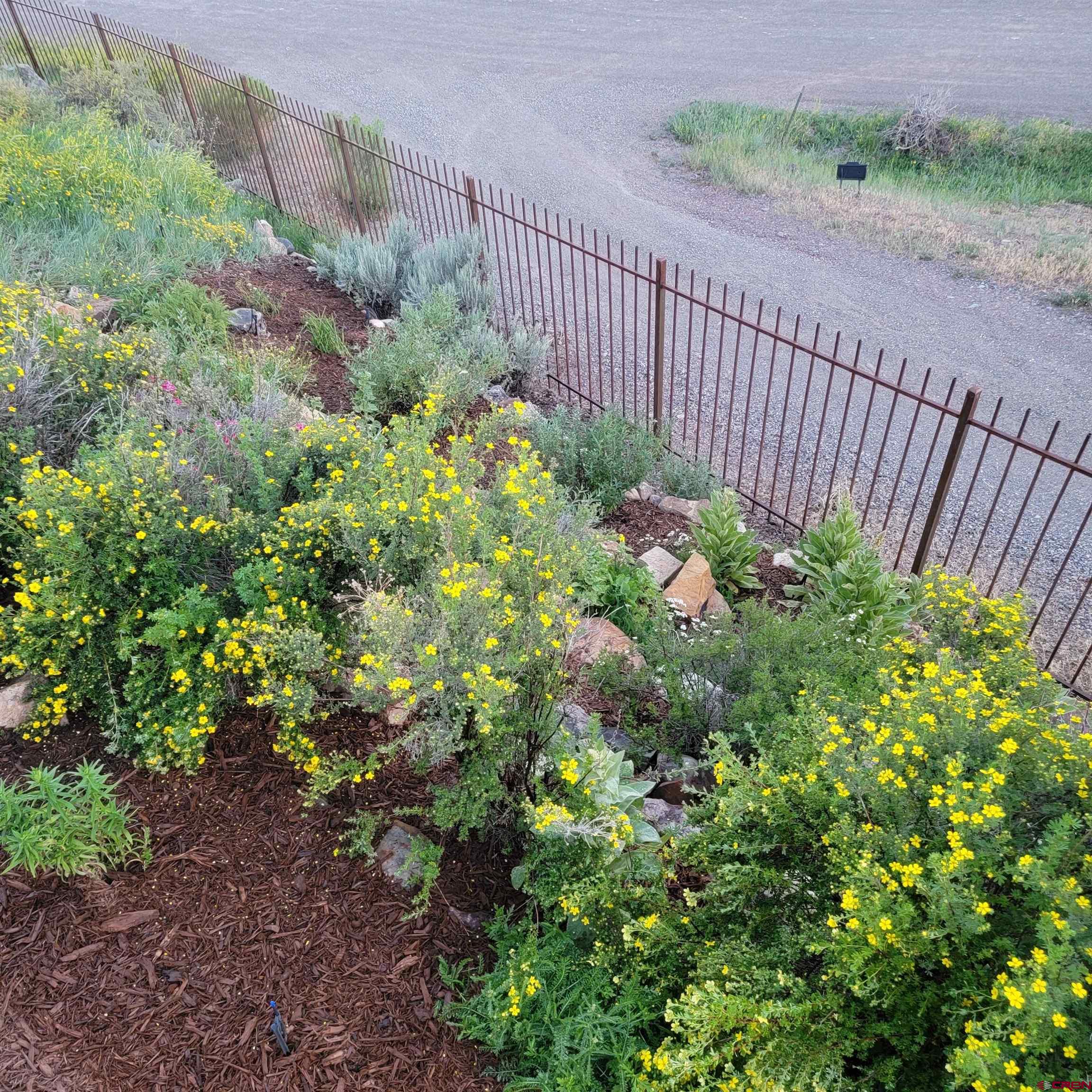 525 Park Lane Ridgway, CO 81432 - Photo 40 of 44