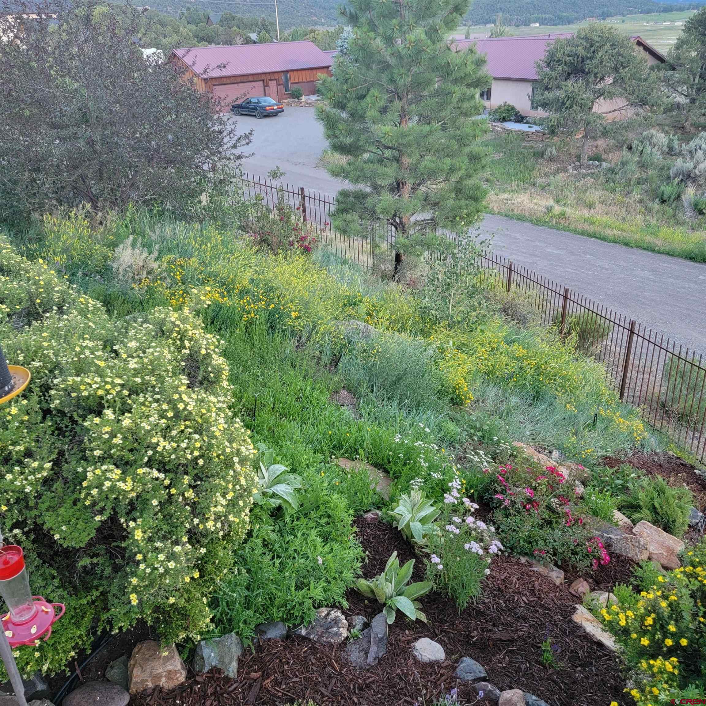 525 Park Lane Ridgway, CO 81432 - Photo 41 of 44