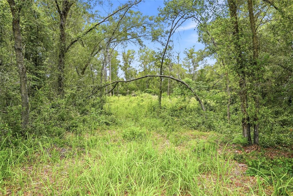 7002 North Castlebury Road Hernando, FL 34442 - Photo 4 of 29