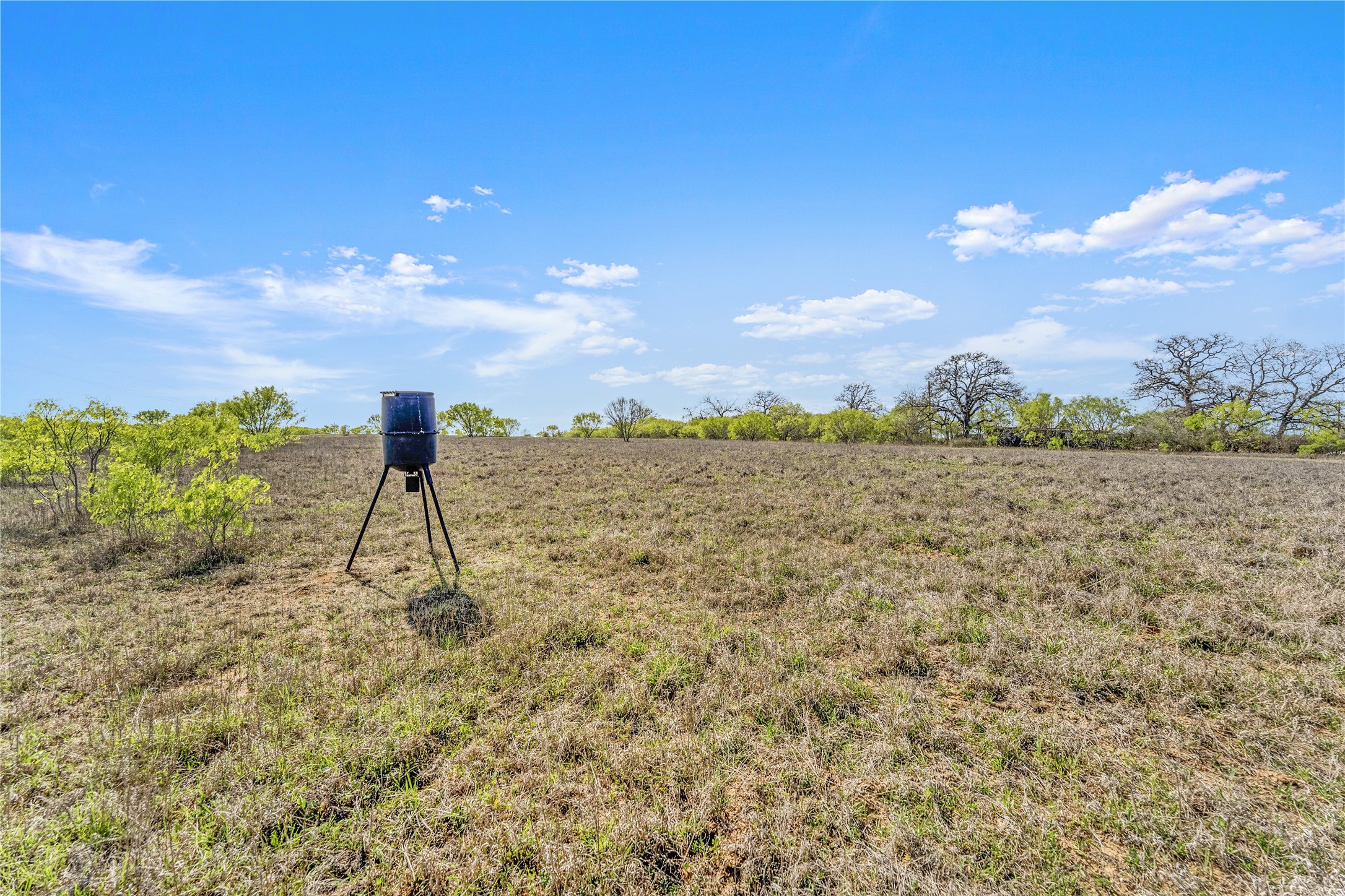 0 Fox Trotter Road Seguin, TX 78155 - Photo 3 of 12