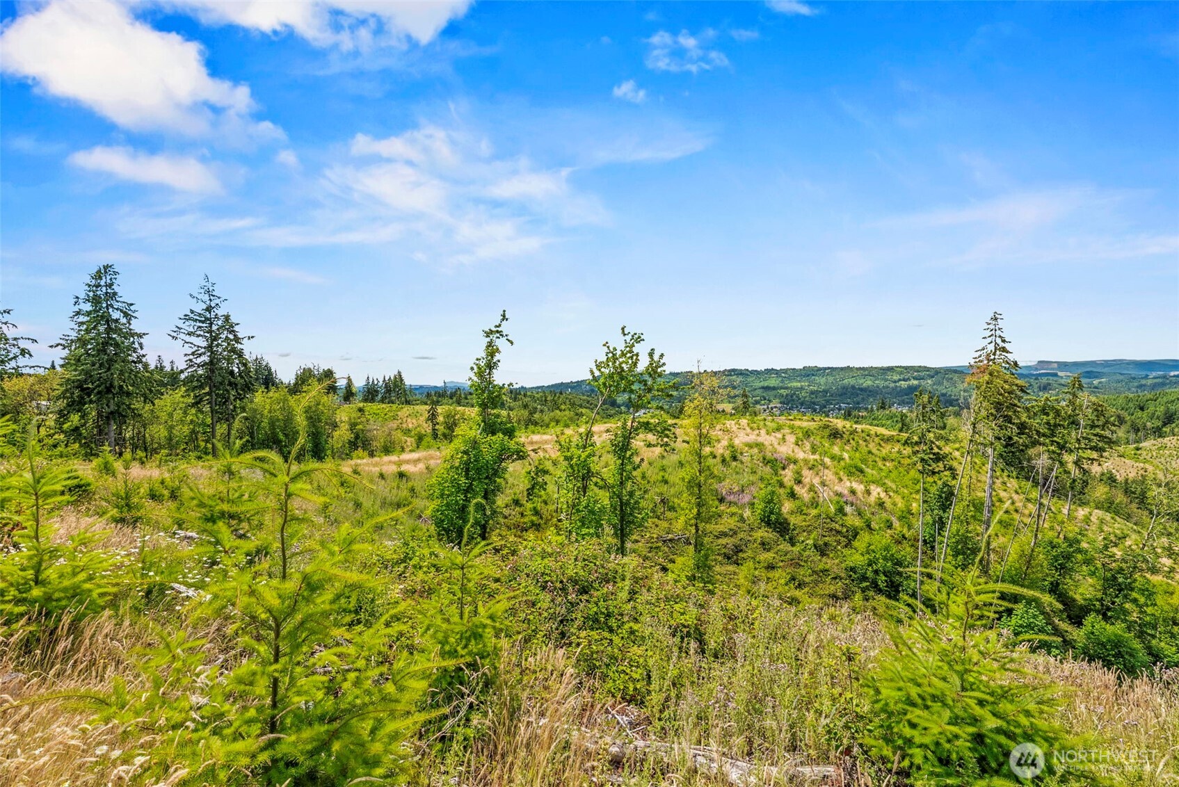 -lot D Holcomb Road Kelso, WA 98626 - Photo 6 of 8 Gallery Image 6