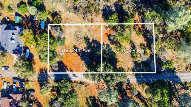 a view of yard with trees