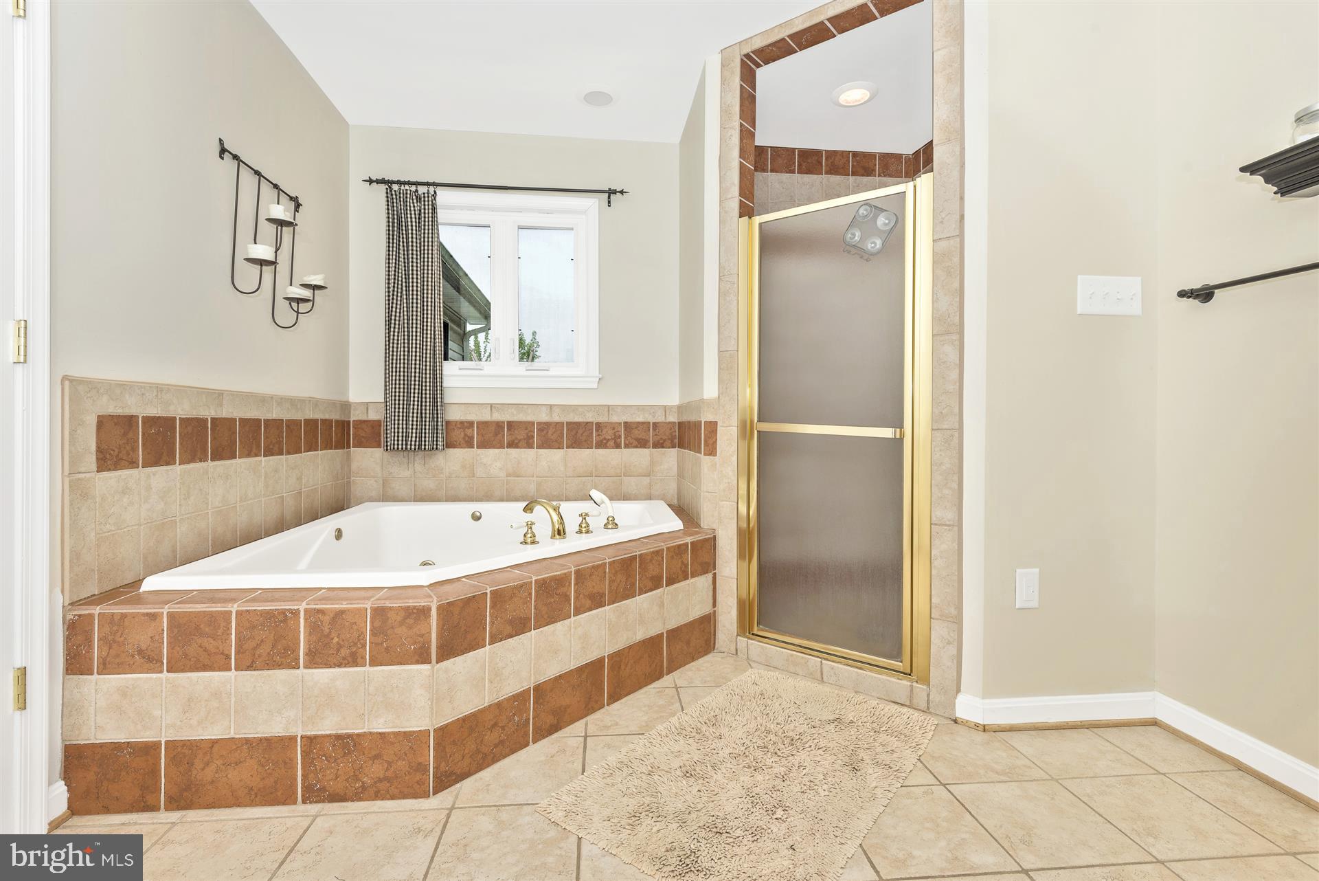 4316 Deer Spring Road Middletown, MD 21769 - Photo 28 of 61 Owners bath
