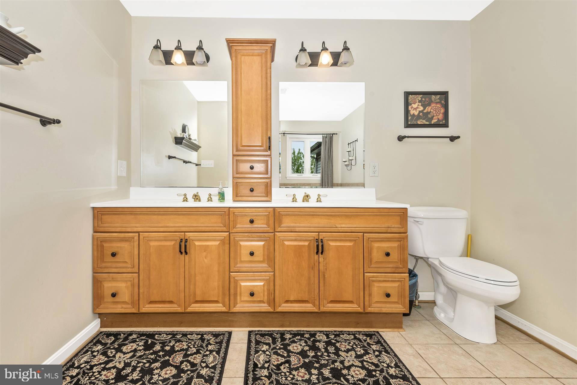4316 Deer Spring Road Middletown, MD 21769 - Photo 29 of 61 Owners bath