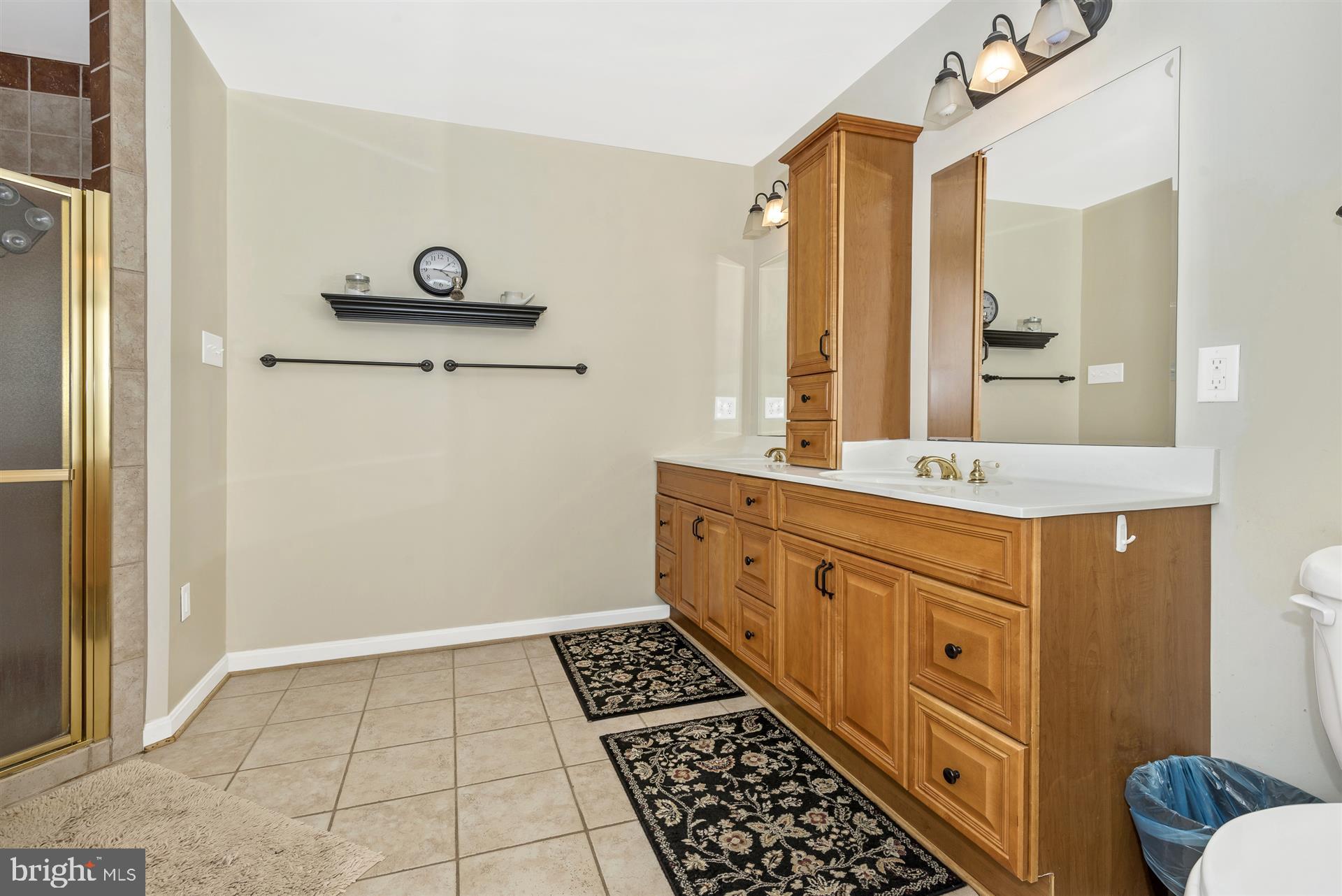 4316 Deer Spring Road Middletown, MD 21769 - Photo 30 of 61 Owners bath