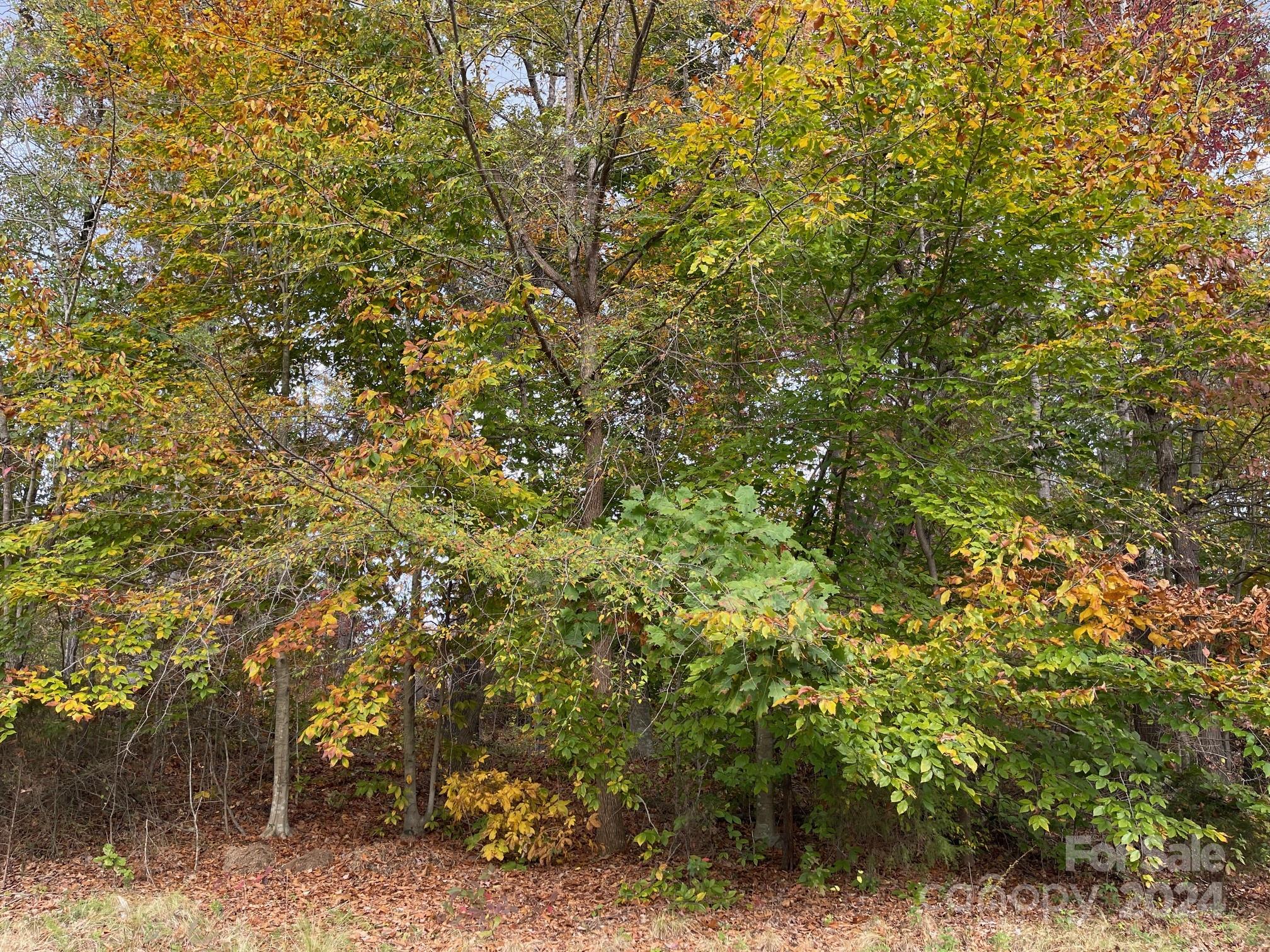 422 Rugby Road Salisbury, NC 28144 - Photo 1 of 6 Gallery Image 1