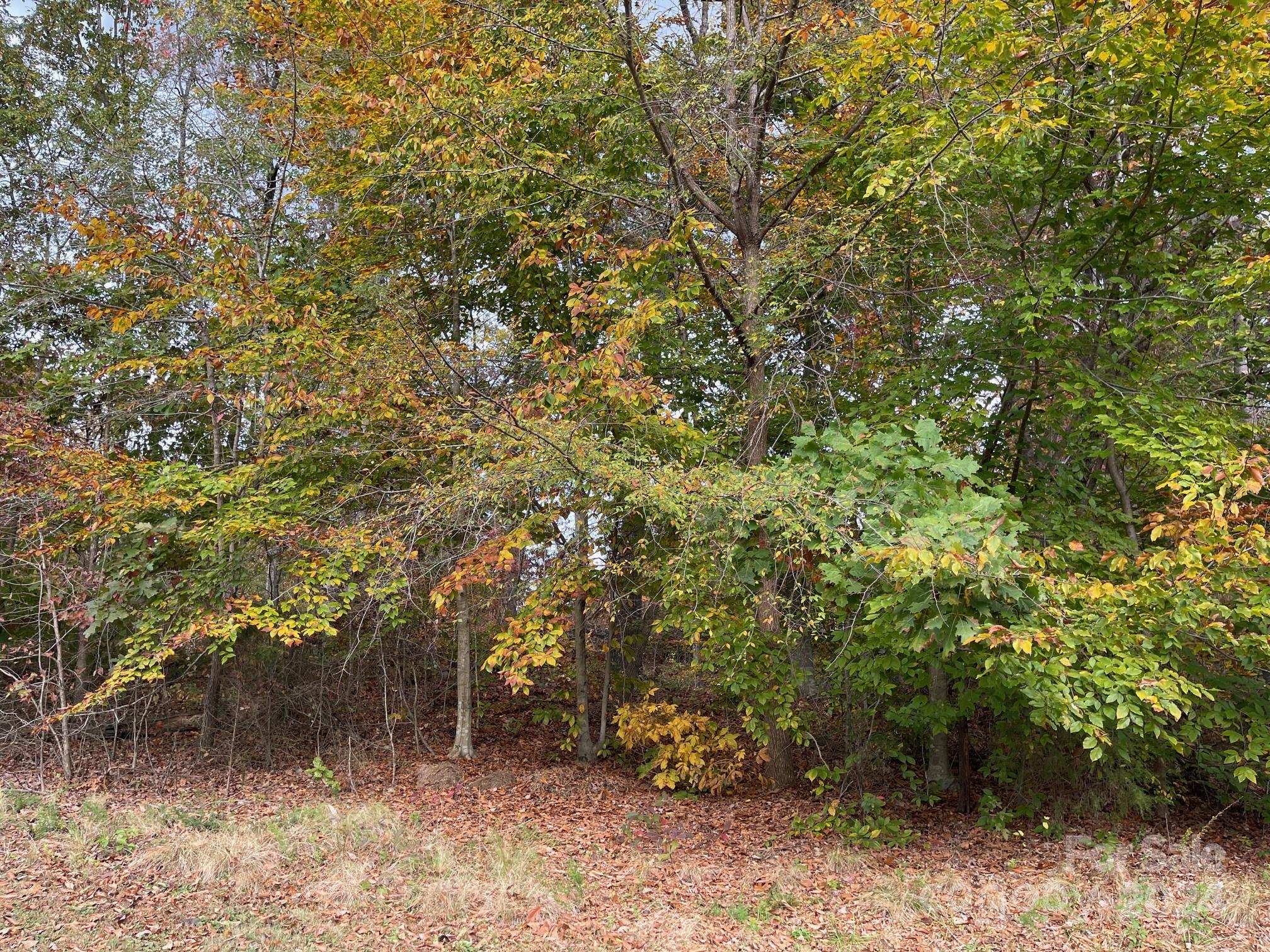 422 Rugby Road Salisbury, NC 28144 - Photo 2 of 6 Gallery Image 2