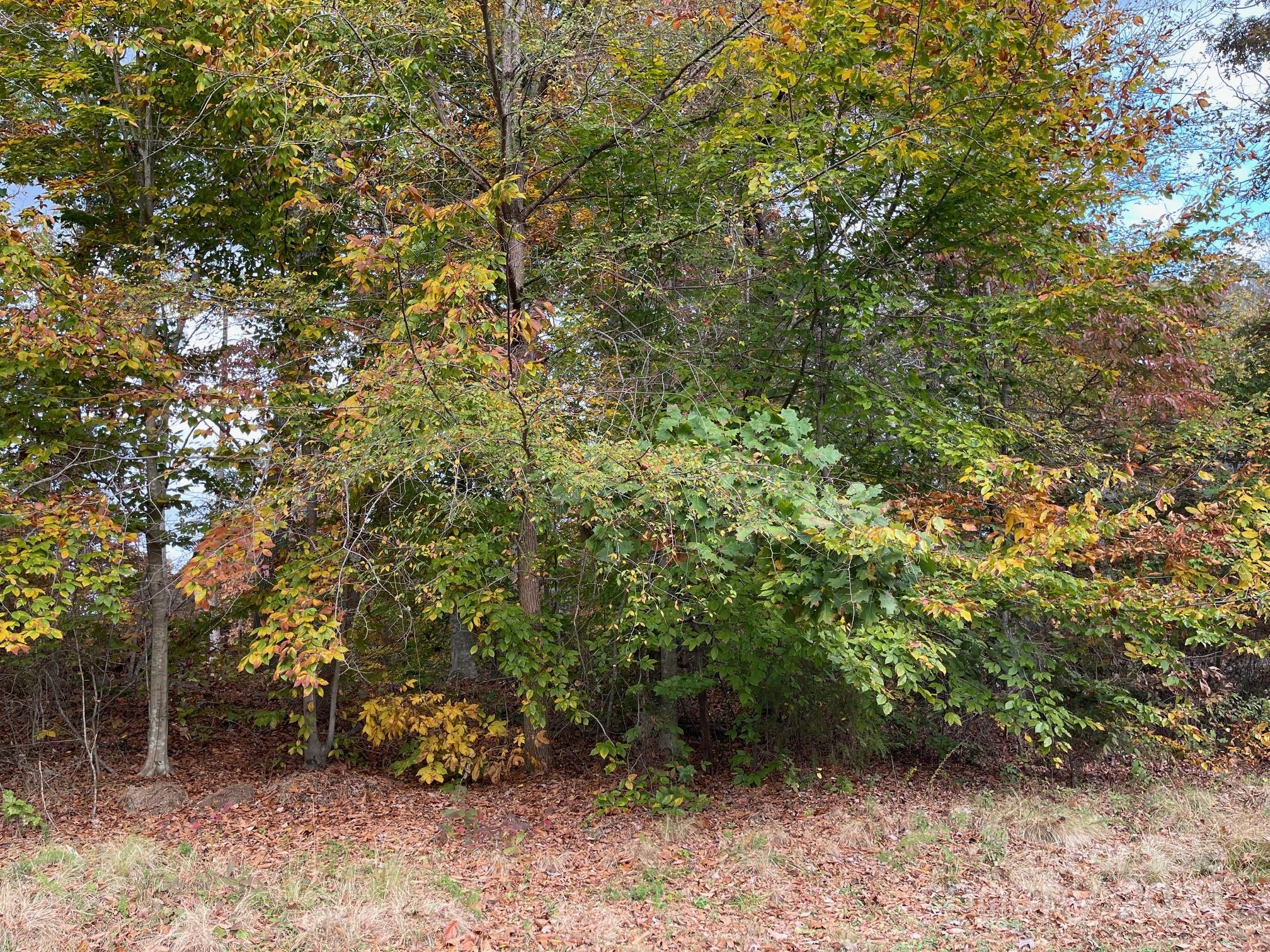 422 Rugby Road Salisbury, NC 28144 - Photo 3 of 6 Gallery Image 3