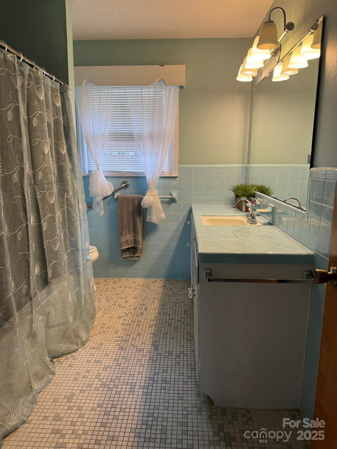 1575 Simplicity Road Concord, NC 28025 - Photo 17 of 23 a bathroom with a sink a toilet and a mirror