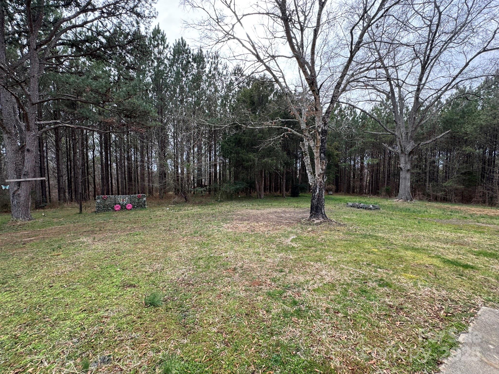 1575 Simplicity Road Concord, NC 28025 - Photo 23 of 23 a ground with lots of trees