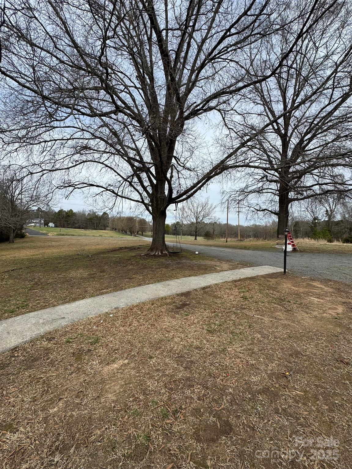 1575 Simplicity Road Concord, NC 28025 - Photo 6 of 23 a view of dirt yard with a large tree