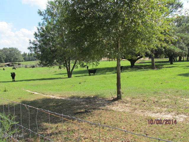 4564 Smokey Road Graceville, FL 32440 - Photo 22 of 40