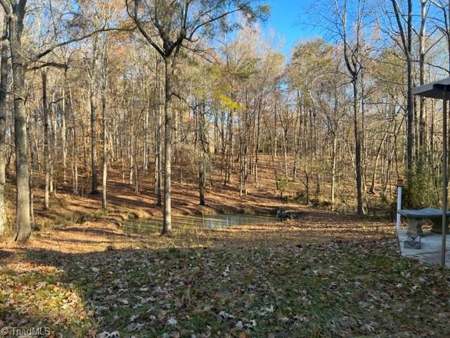 3041 Soapstone Mountain Road Staley, NC 27355 - Photo 10 of 29 Gallery Image 10